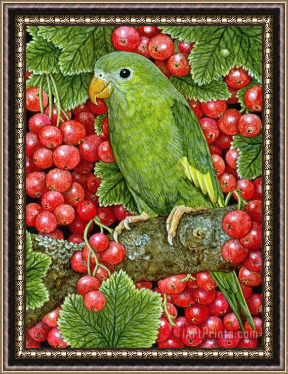 Ditz Redcurrant Parakeet Framed Painting