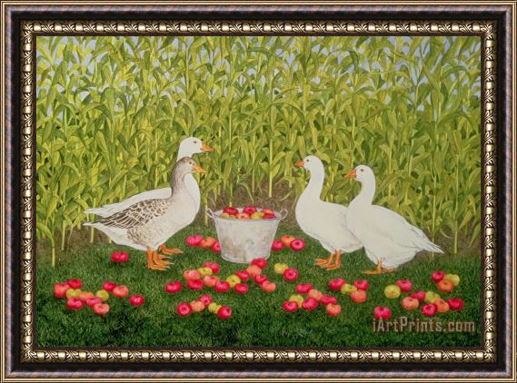 Ditz Sweetcorn Geese Framed Print