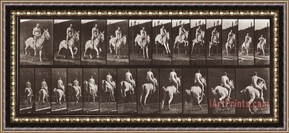 Eadweard J. Muybridge Animal Locomotion, Plate 646 Framed Print