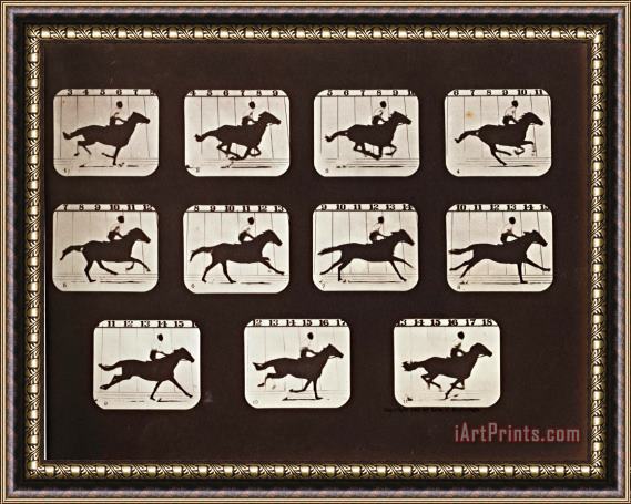 Eadweard J. Muybridge Sallie Gardner Running From The Attitudes of Animals in Motion Framed Print