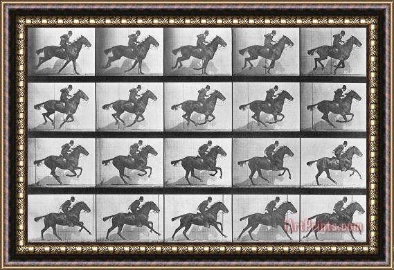 Eadweard Muybridge Galloping Horse Framed Painting