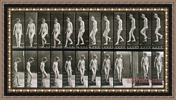 Eadweard Muybridge Woman Descending Steps Framed Print