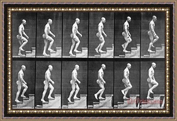 Eadwerd Muybridge Man Ascending Stairs Framed Print