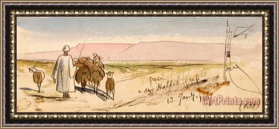 Edward Lear A Dry Halfeh Grass Framed Painting