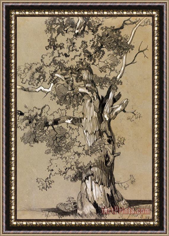 Edward Lear Parham, October.13.1834 Framed Print