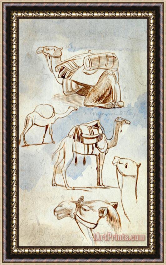 Edward Lear Sketch Studies of Camels Framed Print