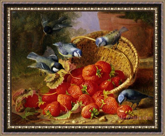 Eloise Harriet Stannard A Feast of Strawberries (blue Tits) by Eloise Harriet Stannard Framed Print