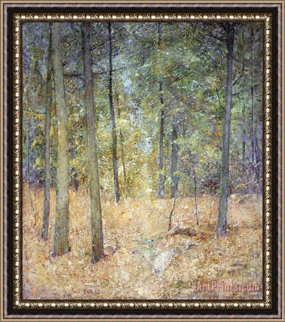 Emil Carlsen A Light in The Forest Framed Print