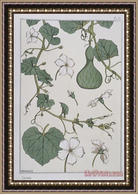 Eugene Grasset Botanical Diagram of a Gourd Framed Painting