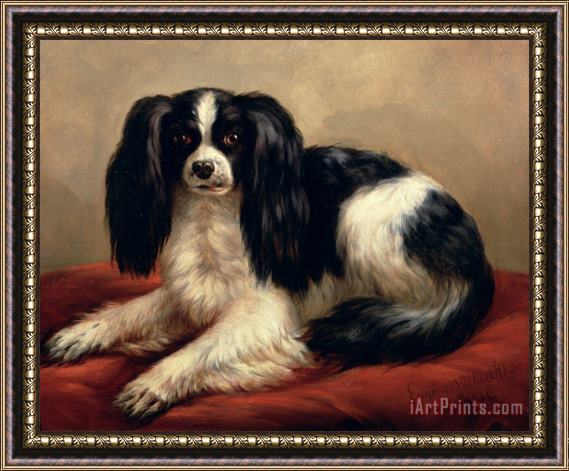 Eugene Joseph Verboeckhoven A King Charles Spaniel Seated on a Red Cushion Framed Painting