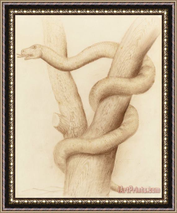 Fernando Botero Snake, 1975 Framed Painting