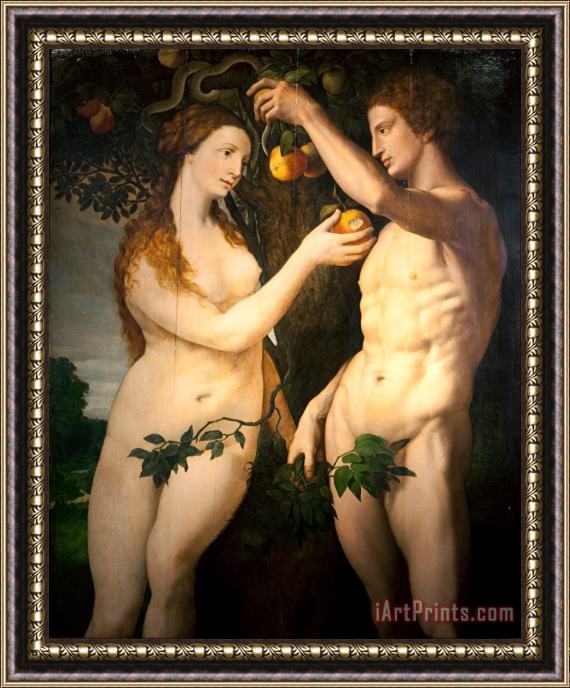 Floris, Frans The Fall of Man Framed Painting