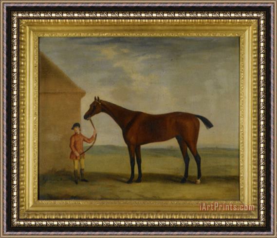Francis Sartorius Portrait of Henry Comptons Race Horse Highflyer Held by a Groom Framed Painting