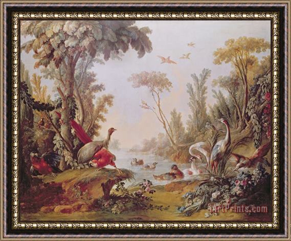 Francois Boucher Lake with geese storks parrots and herons Framed Painting
