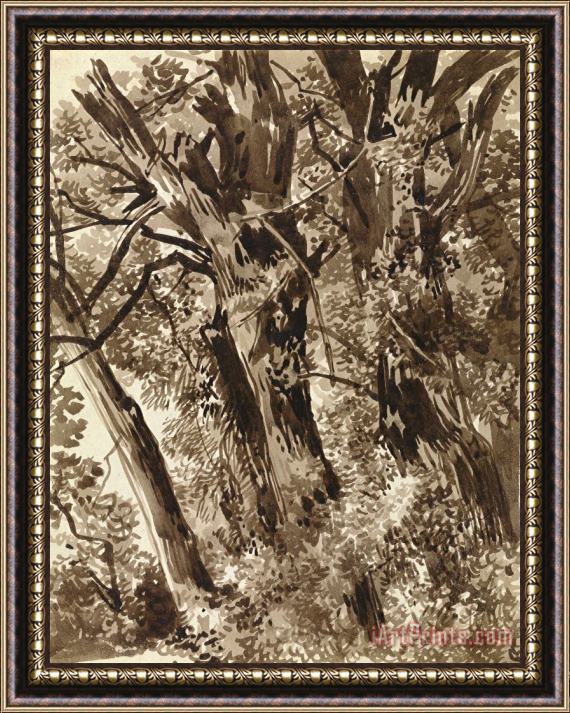 Franz Innocenz Kobell Trunks And Branches Framed Painting