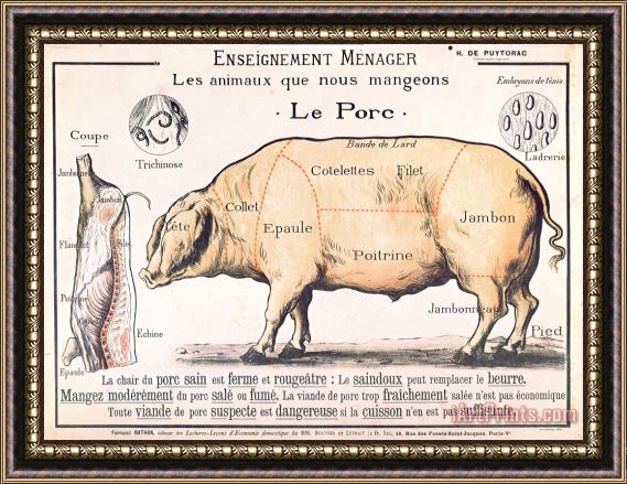 French School Cuts of Pork Framed Print
