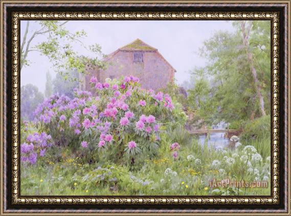 George Marks Rhododendrons by a watermill Framed Print