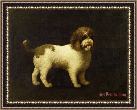George Stubbs A Water Spaniel Framed Painting