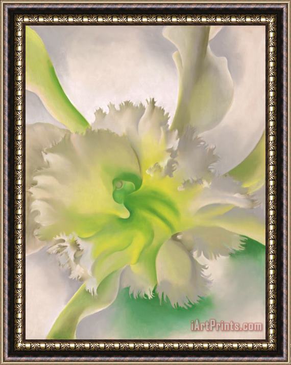 Georgia O'keeffe An Orchid Framed Painting