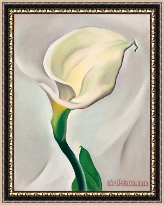 Georgia O'keeffe Calla Lily Turned Away, 1923 Framed Painting