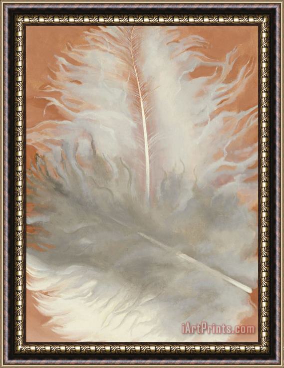 Georgia O'keeffe Feathers, White And Grey, 1942 Framed Painting