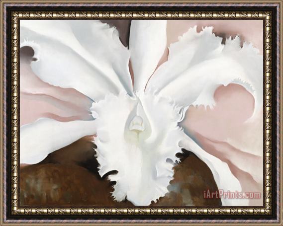 Georgia O'Keeffe Narcissa's Last Orchid Framed Painting