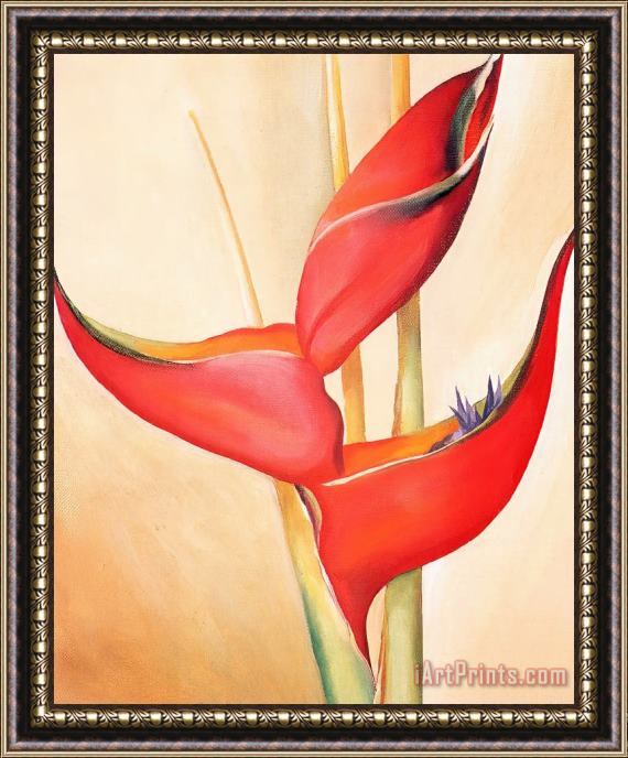 Georgia O'keeffe Not From My Garden Framed Painting