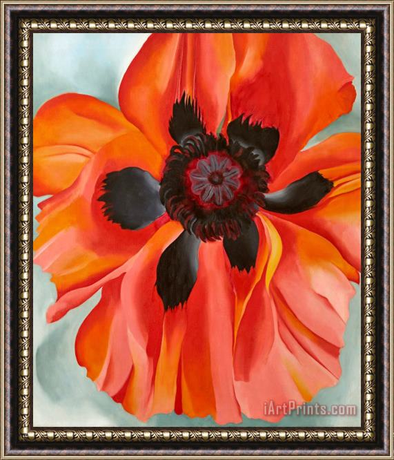 Georgia O'keeffe Red Poppy Vi Framed Painting