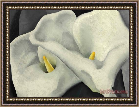 Georgia O'keeffe Two Calla Lilies Framed Painting