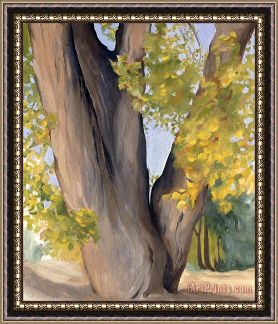 Georgia O'keeffe Untitled (cottonwood Tree), 1945 Framed Painting