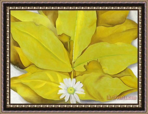 Georgia O'keeffe Yellow Hickory Leaves with Daisy, 1928 Framed Painting