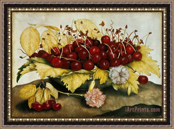Giovanna Garzoni Cherries and Carnations Framed Painting