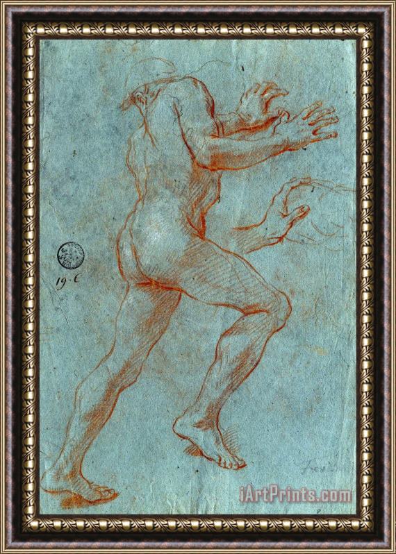 Giovanni Antonio Grecolini Study of a Male Nude Framed Painting