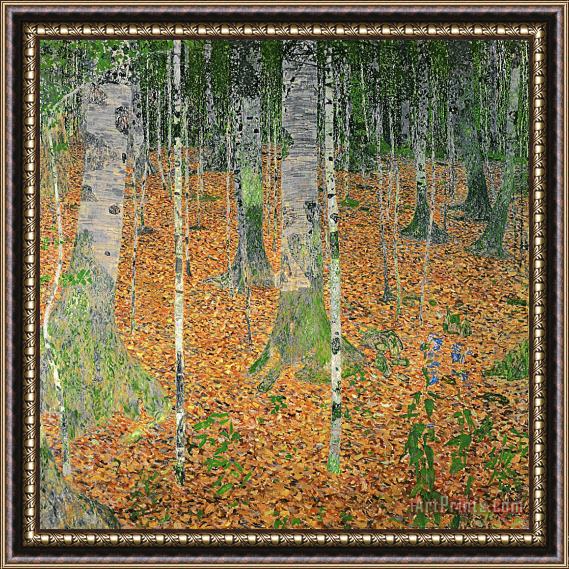 Gustav Klimt The Birch Wood Framed Print