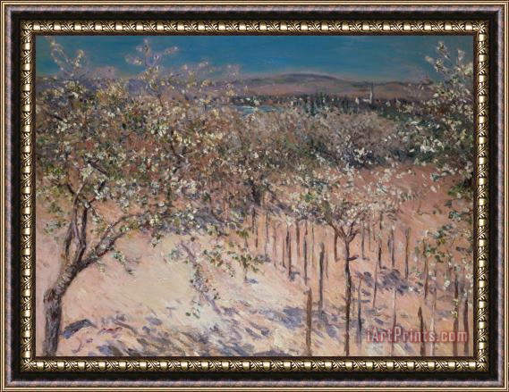 Gustave Caillebotte Orchard with Flowering Apple Trees Framed Print