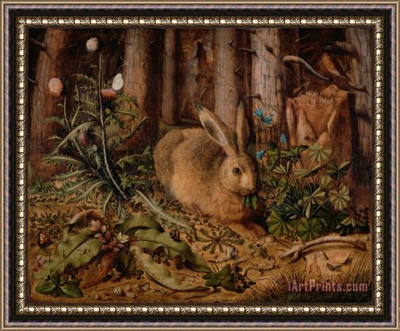Hans Hoffmann A Hare in The Forest Framed Print