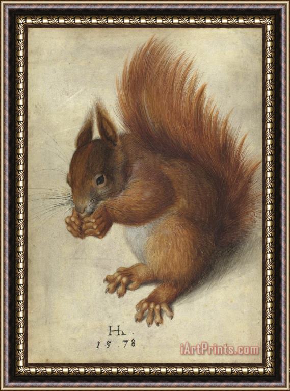 Hans Hoffmann Red Squirrel Framed Painting