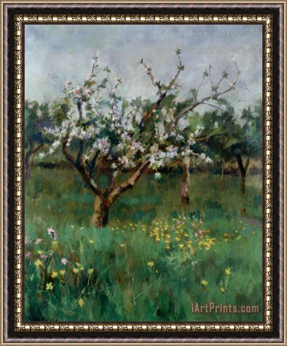 Harold Harvey Apple Blossom Framed Print