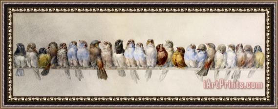 Hector Giacomelli A Perch of Birds Framed Print