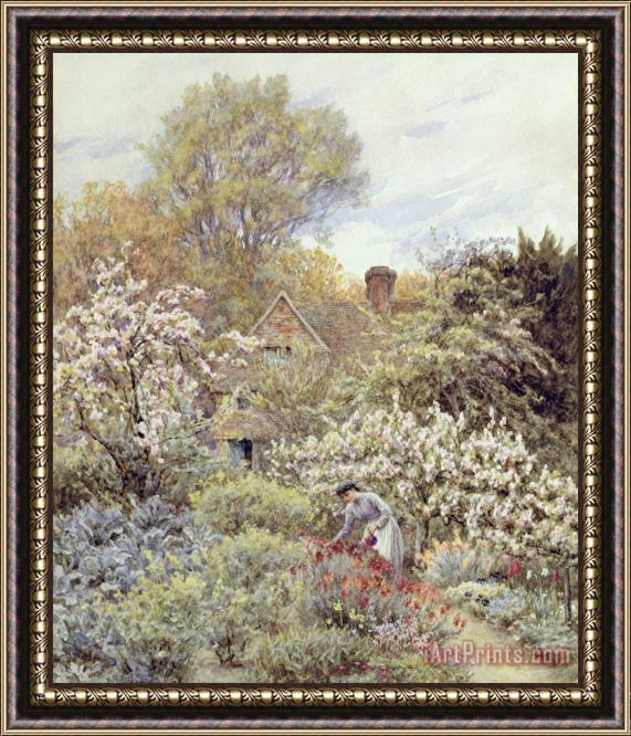 Helen Allingham A Garden in Spring Framed Print