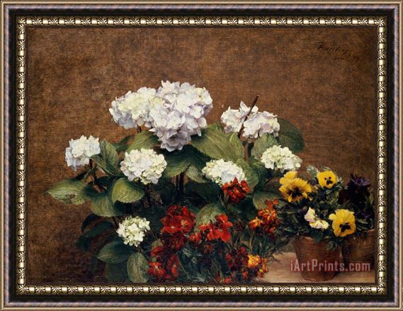 Henri Jean Fantin-Latour Hydrangeas and Wallflowers and Two Pots of Pansies Framed Print