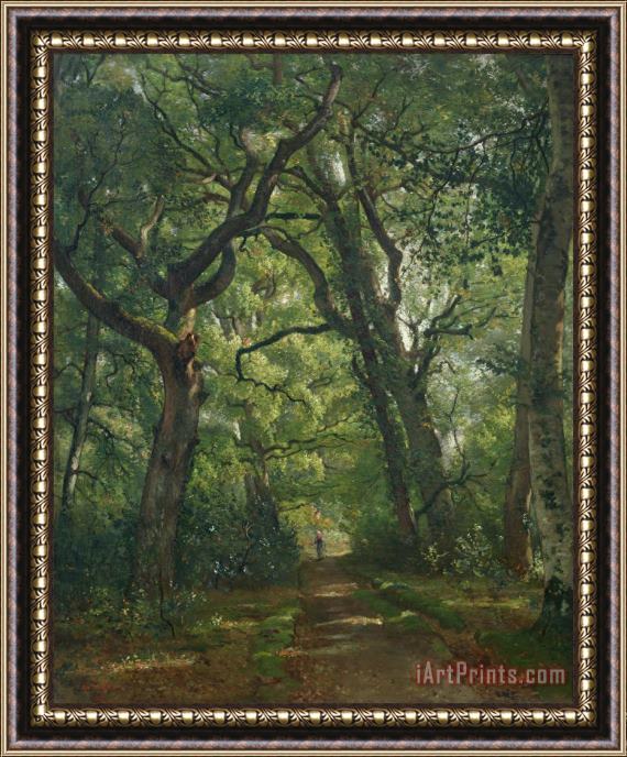 Henri Joseph Constant Dutilleux Path in the Forest Framed Print