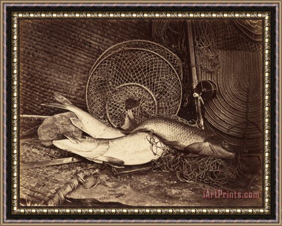 Henry Bailey Still Life with Carp And Pike Framed Painting