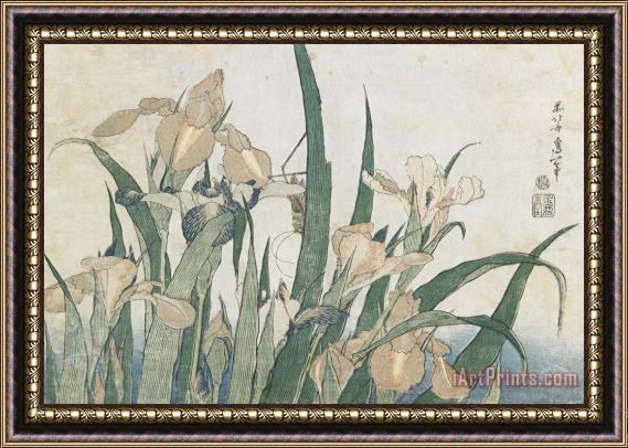 Hokusai Iris Flowers And Grasshopper Framed Painting
