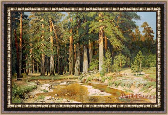 Ivan Shishkin The Mast Tree Grove, Study Framed Painting