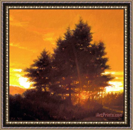 Jacob Collins Sunset Tree Framed Painting
