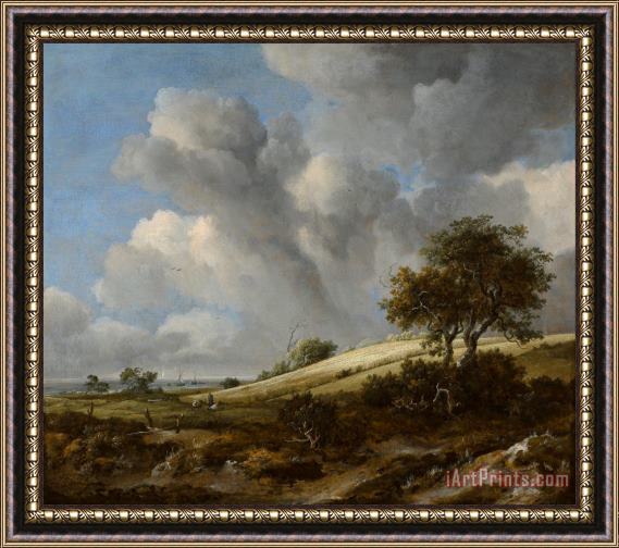 Jacob Isaacksz. van Ruisdael A Cornfield with The Zuiderzee in The Background Framed Painting