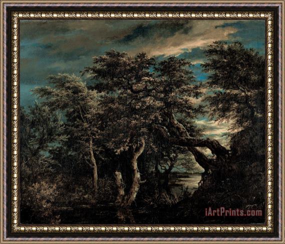 Jacob Isaacksz. Van Ruisdael A Marsh in a Forest at Dusk Framed Print