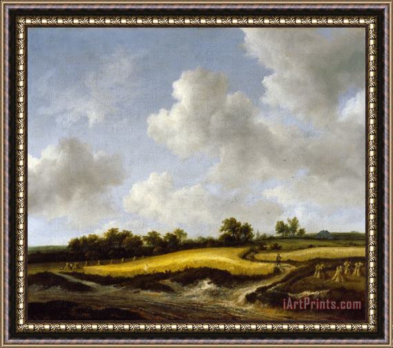 Jacob Isaacksz. Van Ruisdael Landscape with a Wheatfield Framed Print