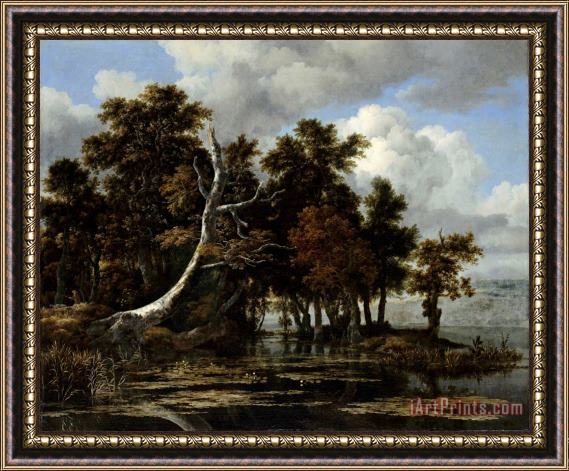 Jacob Isaacksz. van Ruisdael Oaks at a Lake with Water Lilies Framed Print